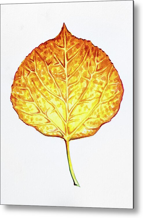 Orange Metal Print featuring the painting Aspen Leaf - Orange and Yellow by Aaron Spong