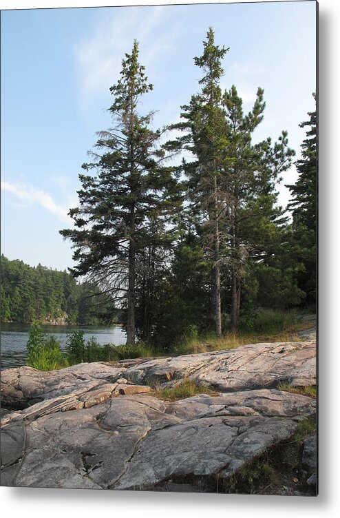 Summer Metal Print featuring the photograph At Oastler Lake Provincial Park Ontario Canada by Lyle Crump