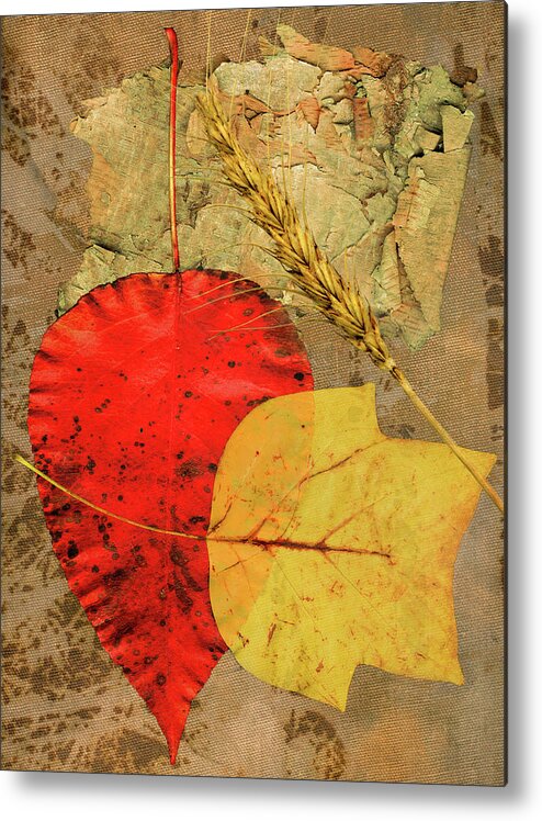 Fall Metal Print featuring the painting Autumn Colors by John Dyess