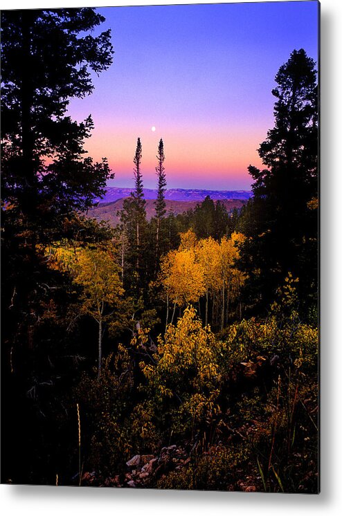 Autumn Metal Print featuring the photograph Autumn Evening by Grant Sorenson