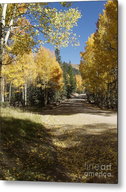 Colorado Fall Color Metal Print featuring the photograph Autumn in Colorado by Bill Hyde