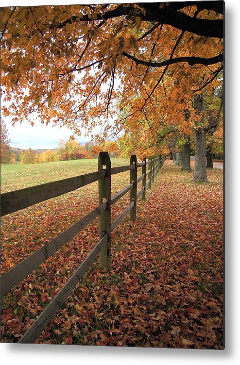 Virginia Metal Print featuring the photograph Autumn Vista in Virginia by Don Struke