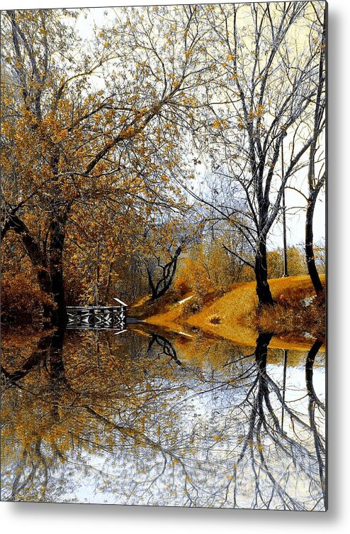 Trees Metal Print featuring the photograph Autumnal by Elfriede Fulda