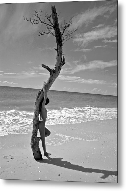 Ebony Nudist Beach Gallery - Beach Nude With Tree Metal Print by Jack Stroube - Fine Art America