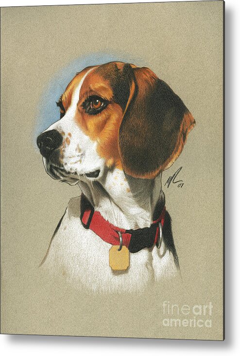 Pet Metal Print featuring the painting Beagle by Marshall Robinson