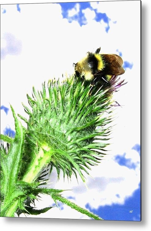 Bee Metal Print featuring the photograph Bee-Line 4 by Will Borden