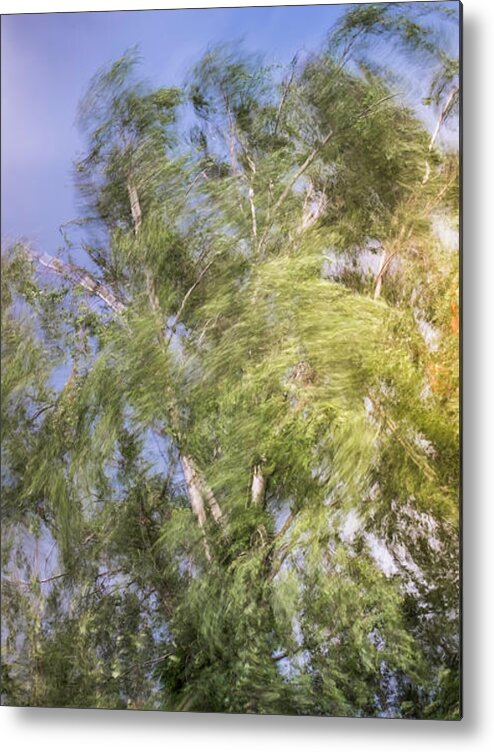 Before The Storm By Marina Usmanskaya Metal Print featuring the photograph Before The Storm by Marina Usmanskaya