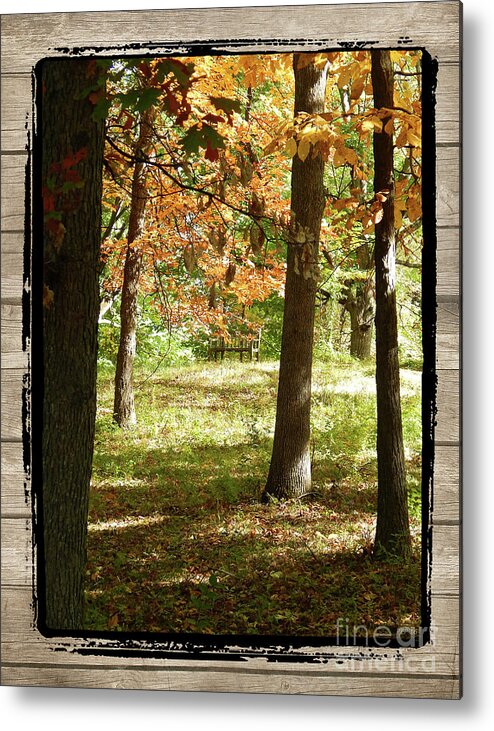 Ann Arbor Metal Print featuring the photograph Bench In The Woods by Phil Perkins