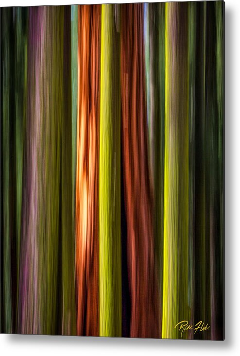Plants Metal Print featuring the photograph Big Trees Abstract by Rikk Flohr