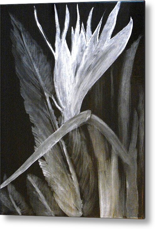 Bird Of Paradise Metal Print featuring the painting Bird of Paradise Black and White by Rita Tortorelli