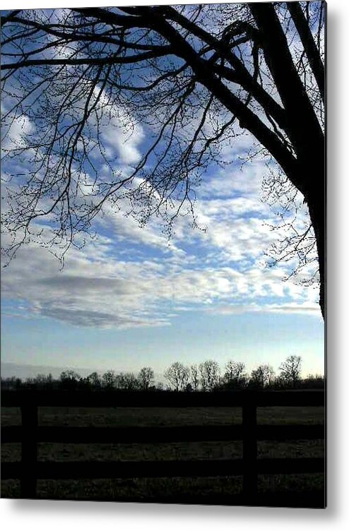 Colored Phots Metal Print featuring the photograph Blue Skies Smiling At Me by Fareeha Khawaja