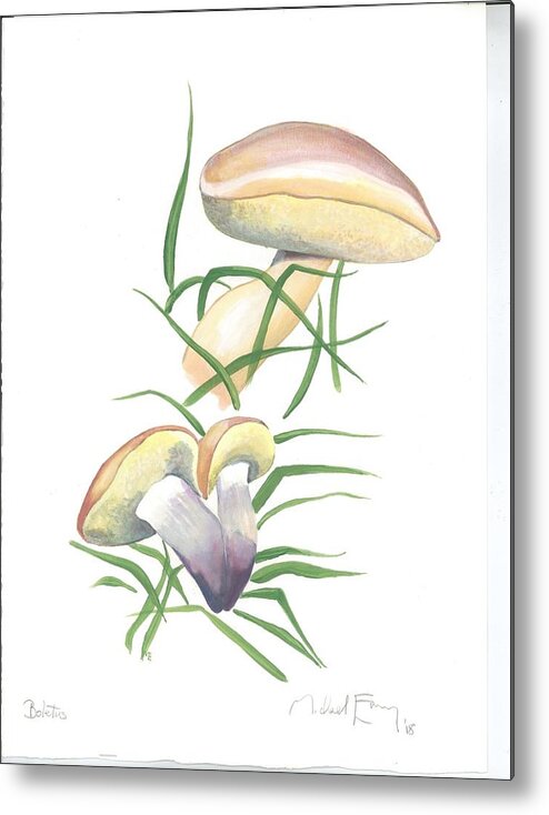 Metal Print featuring the painting Boletus by Michael Earney