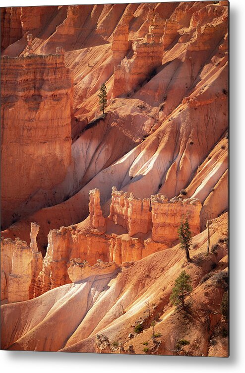 Bryce Canyon Metal Print featuring the photograph Bryce Canyon by Emily Dickey