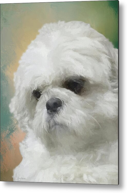 Pet Metal Print featuring the painting Bubba May 2016-0477-painted by Ericamaxine Price