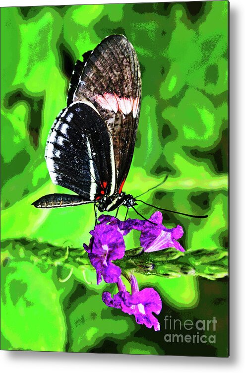 Larry Metal Print featuring the photograph Butterfly 5 by Larry Oskin