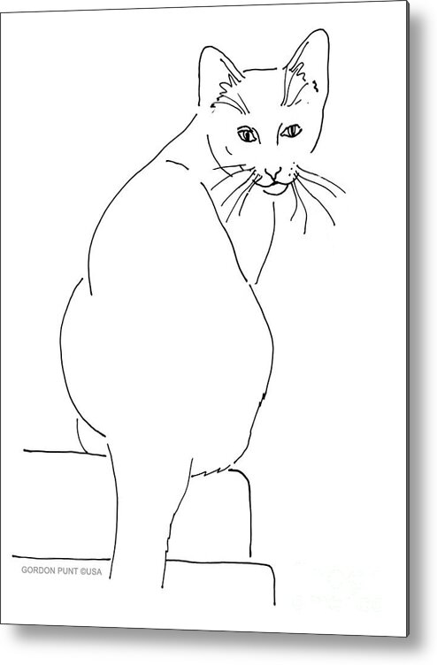 Cat Metal Print featuring the drawing Cat-Artwork-Prints by Gordon Punt