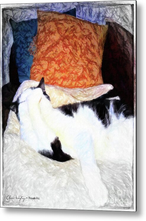 Abstract Metal Print featuring the painting Cat Nap - Zen and the art of Washing by Chris Armytage
