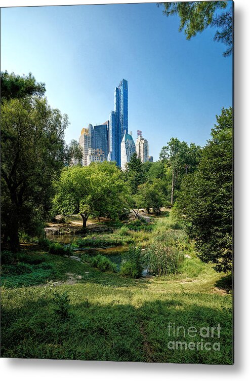 New Metal Print featuring the photograph Central Park NY by Daniel Heine