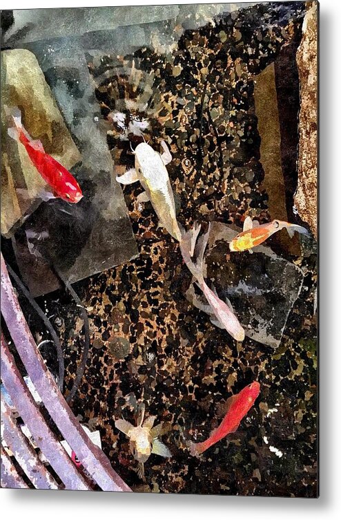 Koi Metal Print featuring the photograph Clear As Koi by Brad Hodges
