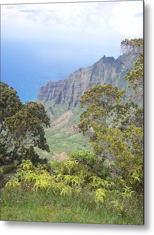 Hawaii Metal Print featuring the photograph Cliffs by Michelle Miron-Rebbe