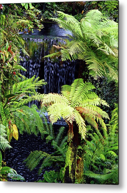 Cloud Forest Metal Print featuring the photograph Cloud Forest 28 by Ron Kandt
