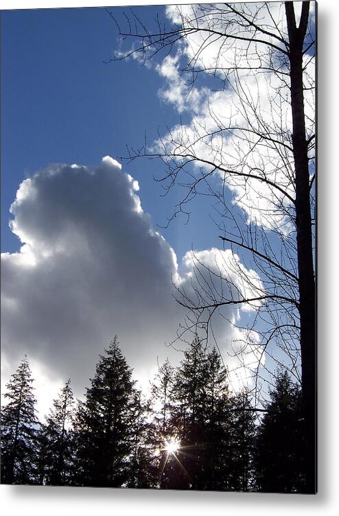 Clouds In A Blue Sky Metal Print featuring the photograph Cloud Leaves by Julie Rauscher