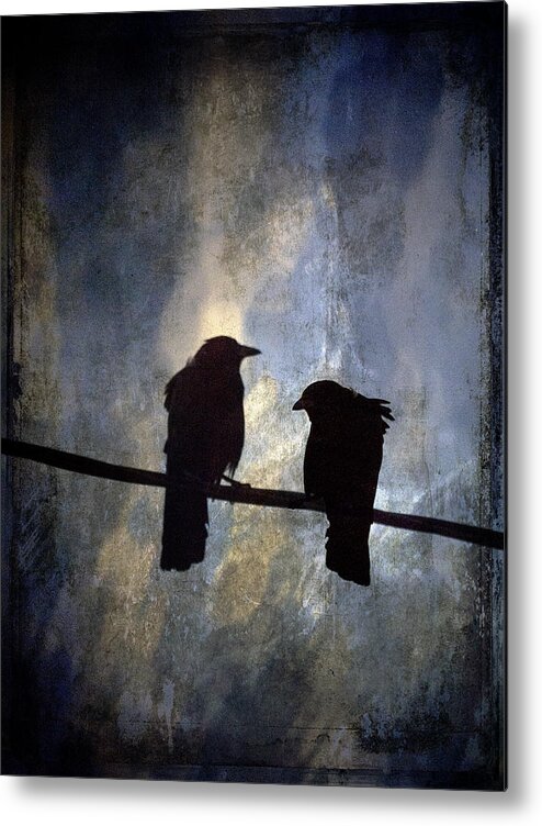 Crow Metal Print featuring the photograph Crows and Sky by Carol Leigh