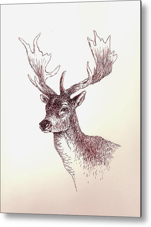 Deer Metal Print featuring the painting Deer In Ink by Michael Vigliotti