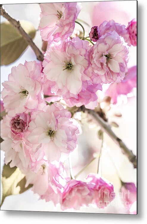 Sakura Metal Print featuring the photograph Delicate Breath by Olga Photography