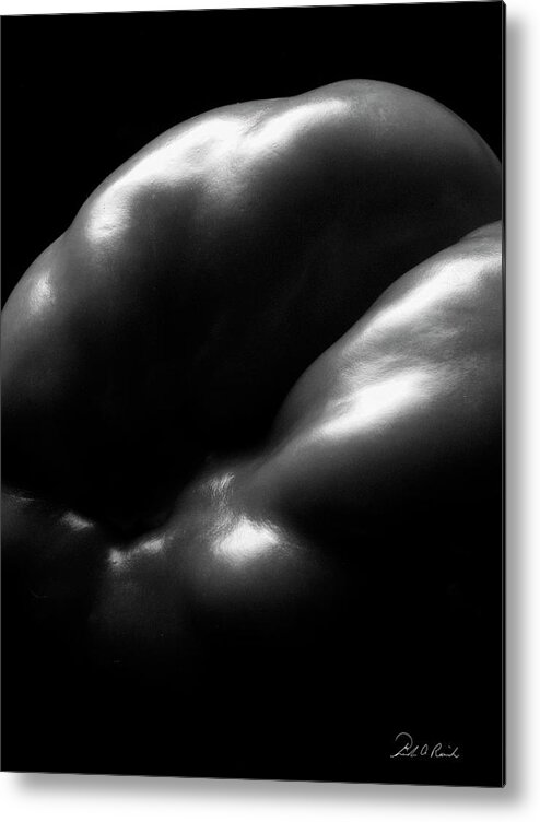 Black & White Metal Print featuring the photograph Delicate by Frederic A Reinecke