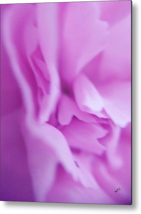 Macro Metal Print featuring the photograph Delicate Pink by Marian Lonzetta