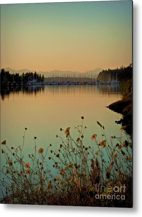 Sailboat Metal Print featuring the photograph Distant Harbor by Patricia Strand