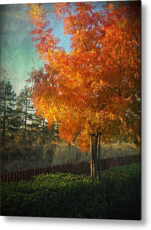 Trees Metal Print featuring the photograph Don't Ever Let Go by Laurie Search