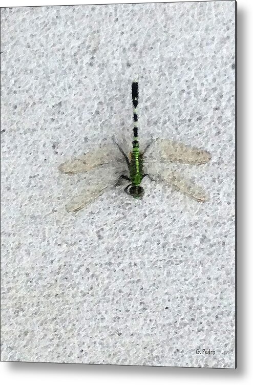 Dragonfly Metal Print featuring the painting Dragonfly by George Pedro