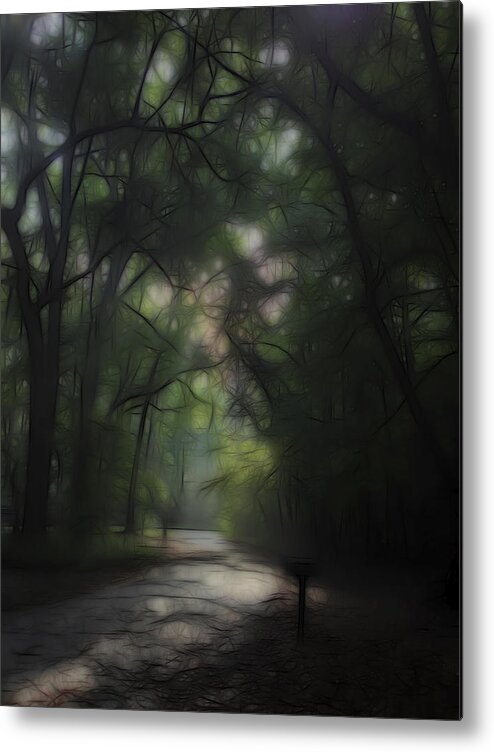 Landscape Metal Print featuring the digital art Dreaming Forest 1 by William Horden