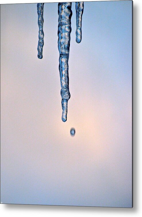 Drip Of The Icicle Metal Print featuring the photograph Drip Of The Icicle by Debra   Vatalaro