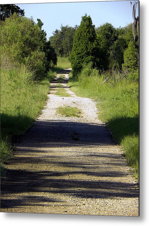 I Took This Landscape Photo Of The Eagle Roost Trail At The Circle B Bar Reserve On July 30 Metal Print featuring the photograph Eagle Roost Trail by Christopher Mercer