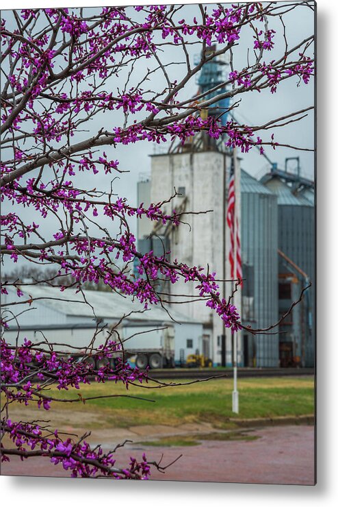 Springtime Metal Print featuring the photograph Ellsworth Blooms by Darren White