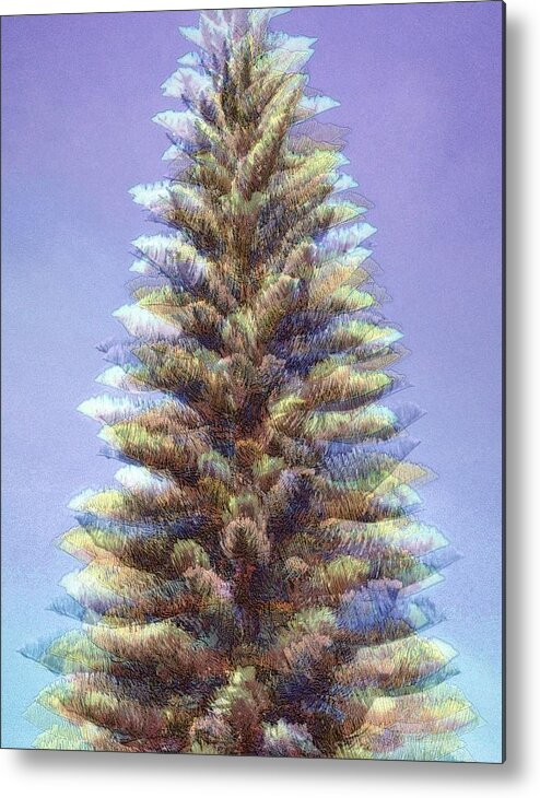 Pine Tree Metal Print featuring the photograph Ethereal Norfolk Pine by Jodie Marie Anne Richardson Traugott     aka jm-ART