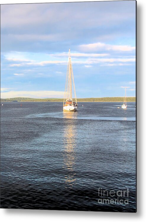 Sailboat Metal Print featuring the photograph Evening Sail in Frenchman's Bay by Elizabeth Dow