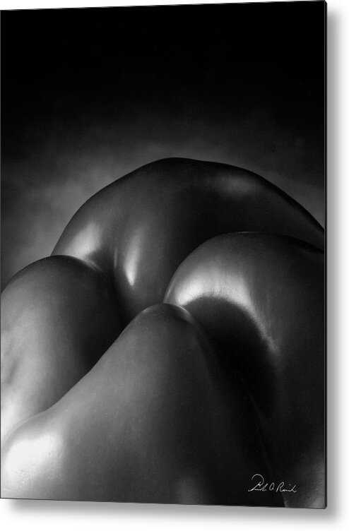 Black & White Metal Print featuring the photograph Exotic Landscape Two by Frederic A Reinecke