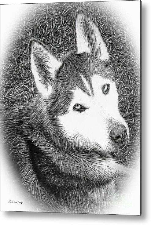 Expressive Metal Print featuring the mixed media Expressive Siberian Husky Mixed Media A4617 by Mas Art Studio