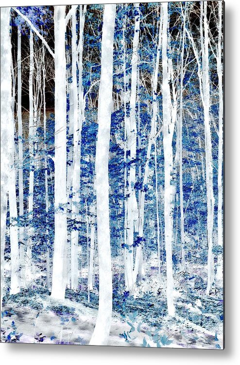 Landscape Metal Print featuring the photograph Fairy Forest by Marcia Lee Jones