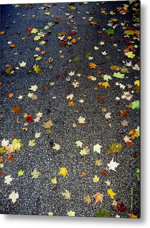 Leaves Metal Print featuring the photograph Fall Sparkle by Deborah Crew-Johnson
