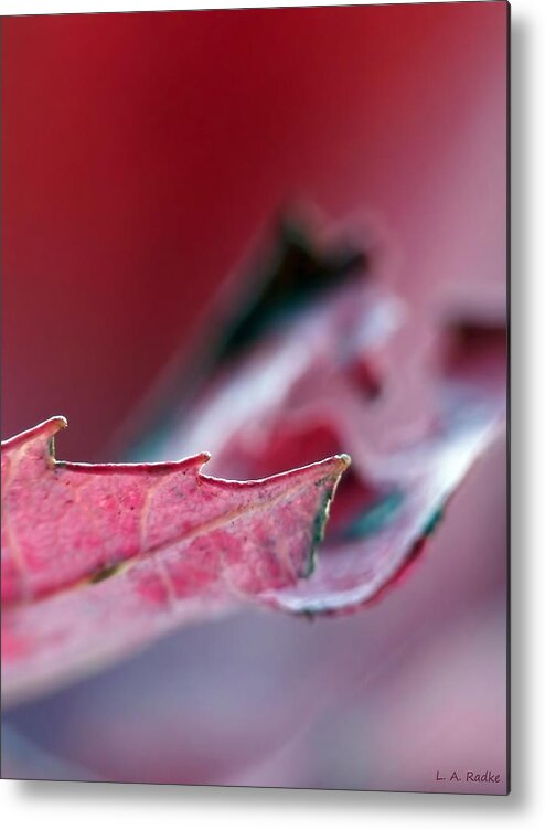 Abstract Metal Print featuring the photograph Falling I by Lauren Radke