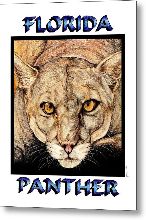 Portrait Metal Print featuring the drawing Florida Panther by Sheryl Unwin