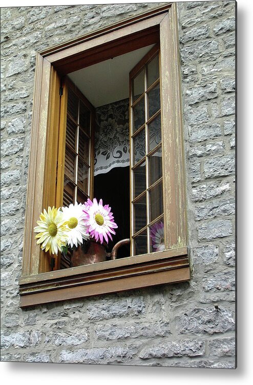 Canada Metal Print featuring the photograph Flowers on the Sill by John Schneider