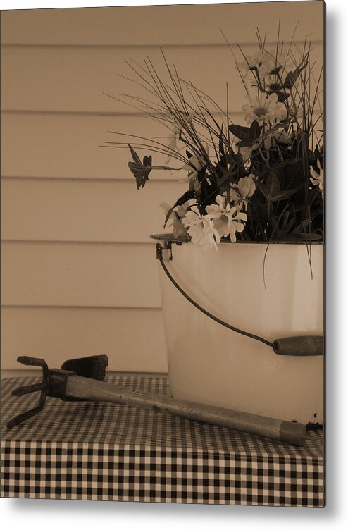 Garden Metal Print featuring the photograph Gardening by Cat Rondeau