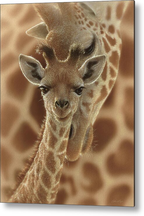 Giraffe Art Metal Print featuring the painting Giraffe Baby - New Born by Collin Bogle