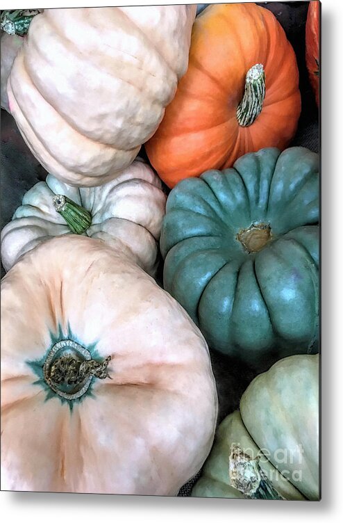 Gourds Metal Print featuring the photograph Gourds by Janice Drew